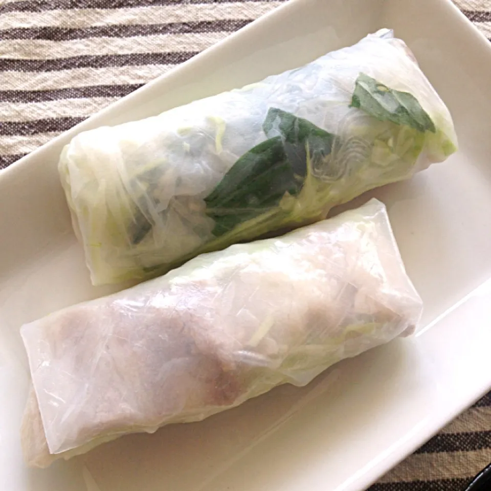 Fresh spring roll my own style ベトナム風生春巻き|Miko Koizumiさん