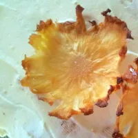 Dried Pineapple Decoration|Michelleさん