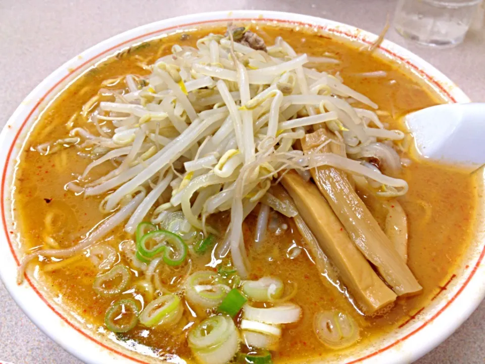 旭川  味噌ラーメン|としちゃんさん