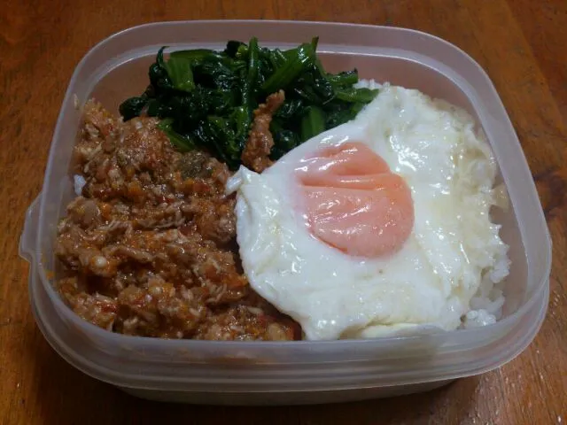 ミートソース丼弁当|maさん