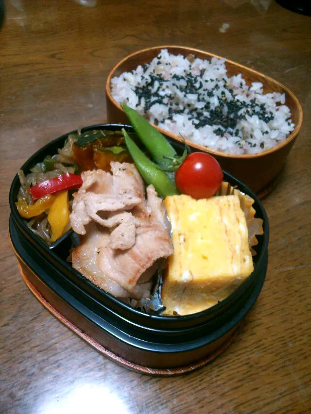 Snapdishの料理写真:5月14日のお弁当|mamaさん