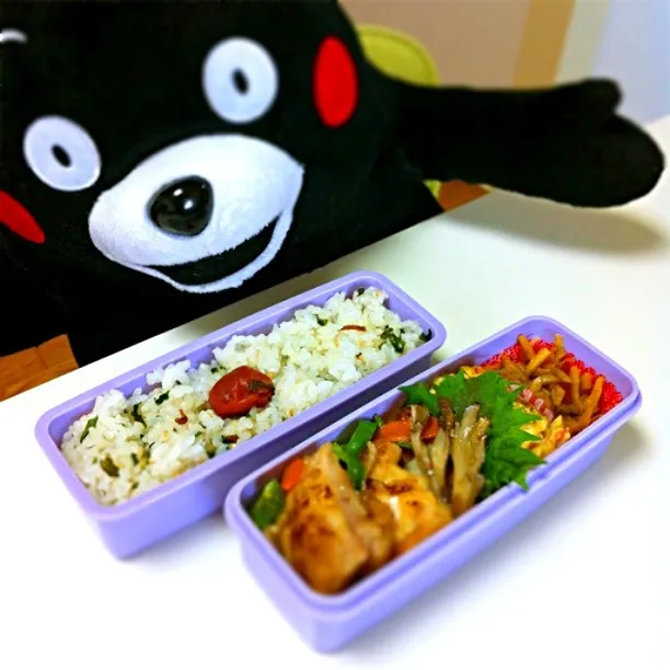 今日のお弁当|taichijungleさん