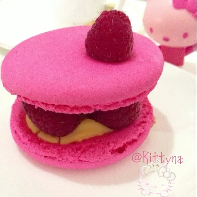 (・∀・)⊃☕🏩DC Raspberry Macaron 💖|🎀Kittyna🌸さん