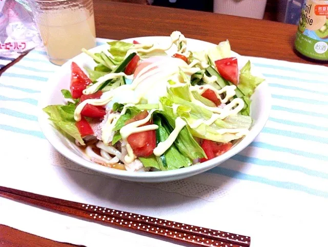 豚しゃぶサラダうどん|カナエさん