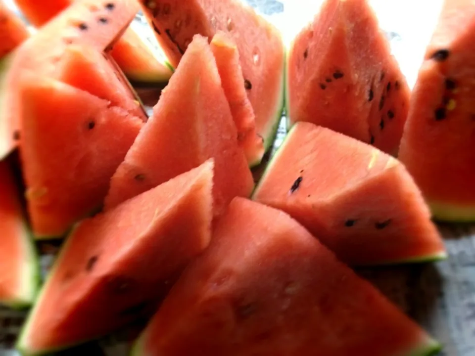 Water Melon|Roy Fujiwaraさん