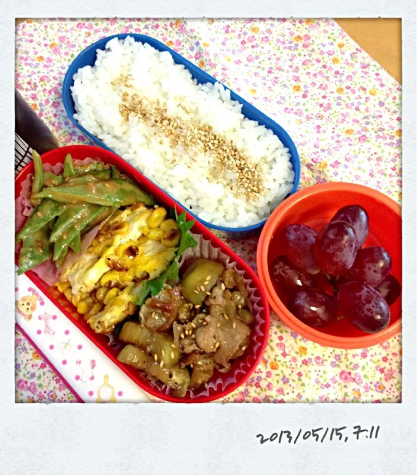 Snapdishの料理写真:中2娘のお弁当|みっちょさん