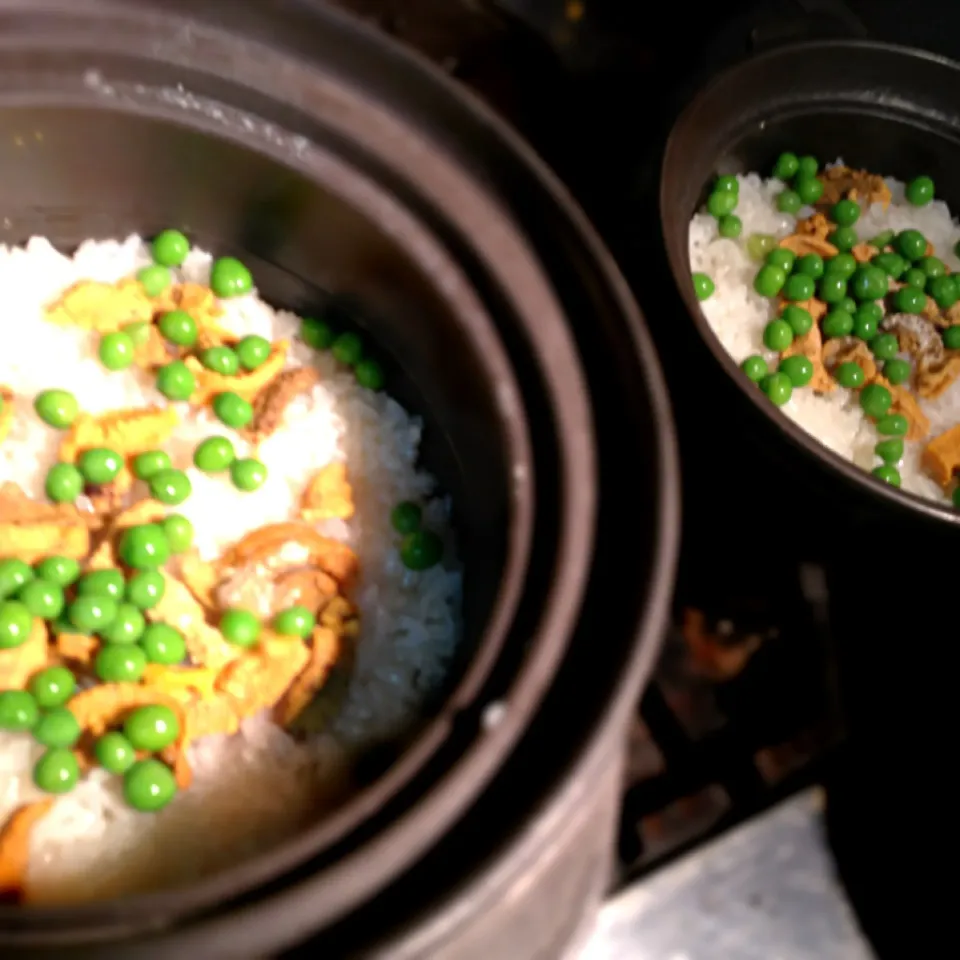 海胆豆土鍋炊き込み御飯|炊かれたいオトコ おこん 小栁津さん