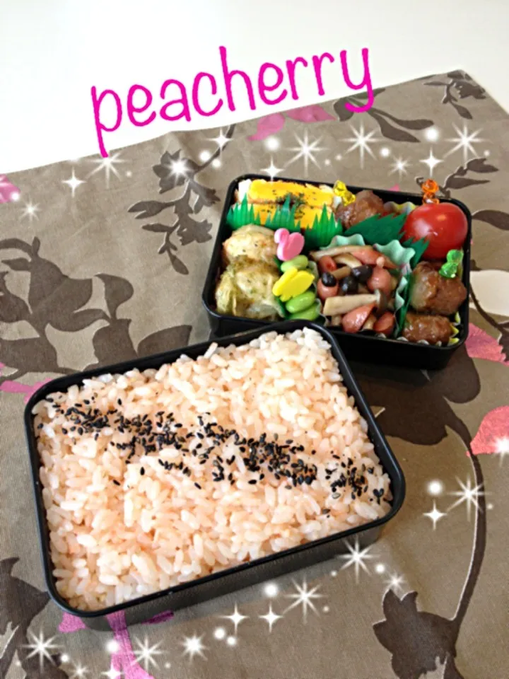 旦那様用☆お弁当^_^４日目|☆ぴ〜ちゃん☆さん