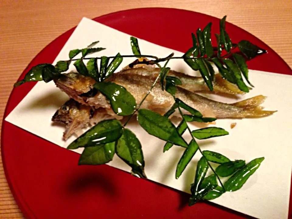 進肴 若鮎焼揚げ 木の芽酢 木の芽枝揚げて|ハギーさん