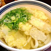 Snapdishの料理写真:ごぼう天うどん|yuuiro_clover♡さん