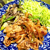 色々野菜と豚肉炒め|かず2さん