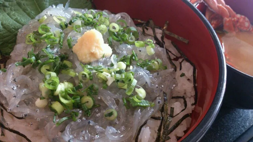 駿河湾直送のおいしい生しらす丼|荘司清隆さん