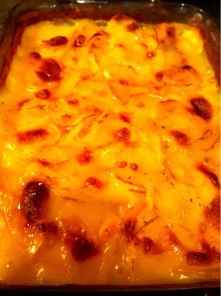 i love au gratin potatoes|Abby Macalinoさん