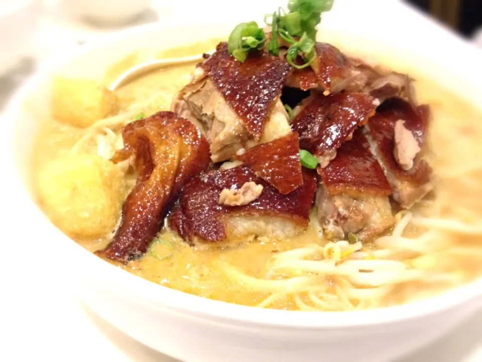 Duck laksa @ Hong Kong noodle house|moonbunnyさん