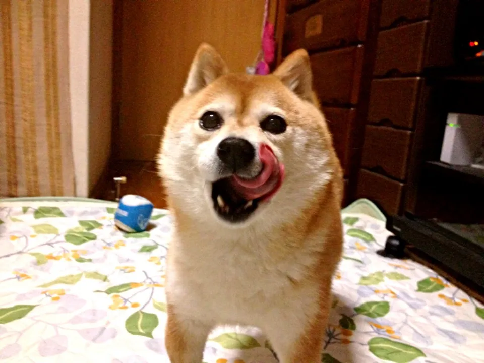 Snapdishの料理写真:|きよさん