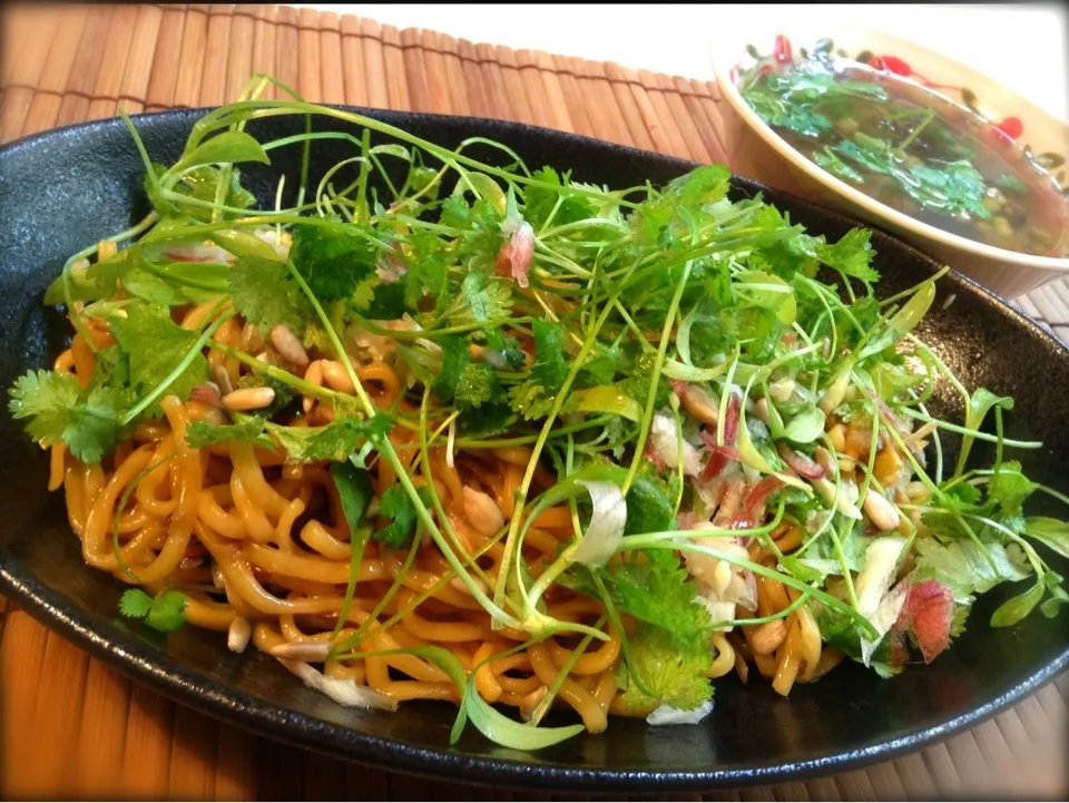 67餃子風汁なし拌麺&摘みたて香菜|nonnoさん