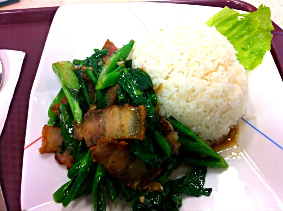 Thai fried kale with crispy pork.|hayyanaさん