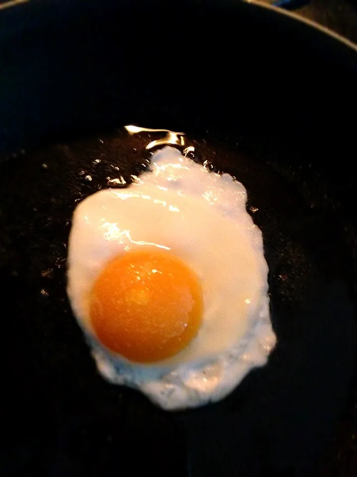 Classic fried egg|Alicia Pogoyさん