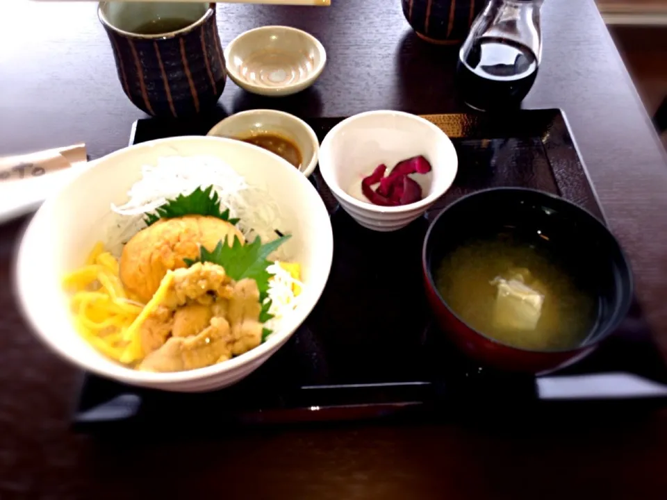 うに丼|みっちーさん