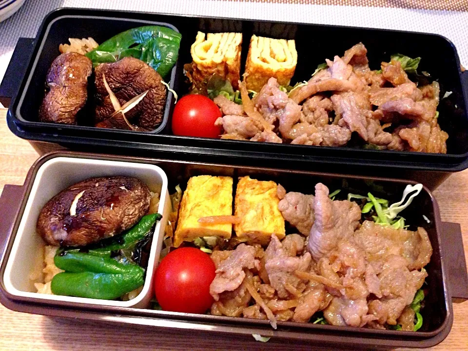 お弁当♡豚肉の生姜焼き、卵焼き、椎茸とピーマン焼いたの、タコ飯、サラダ|ウサコさん