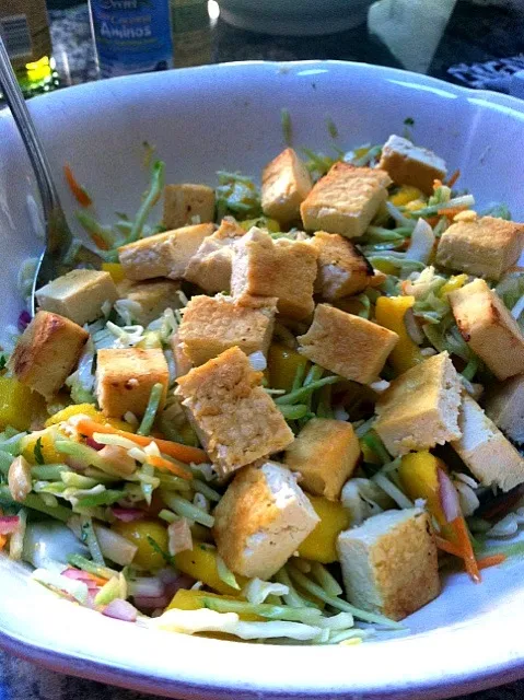 Ginger marinated tofu with mango cabbage salad|vanessa volpicelliさん