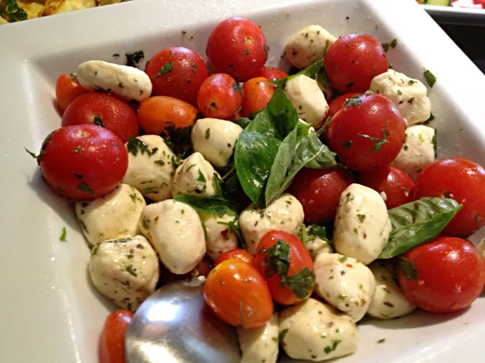 Bocconcino fresh Mozzarella,tomatoes, Olive oil, Fresh Basil|Tasso Apostolopoulosさん