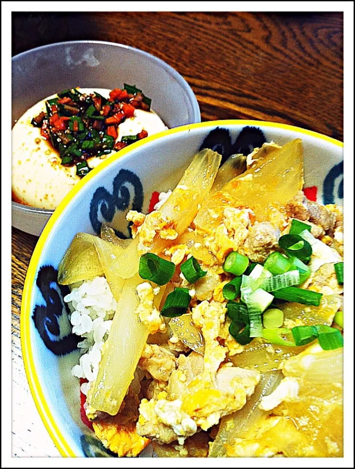 Snapdishの料理写真:親子丼＆冷奴|のんさん