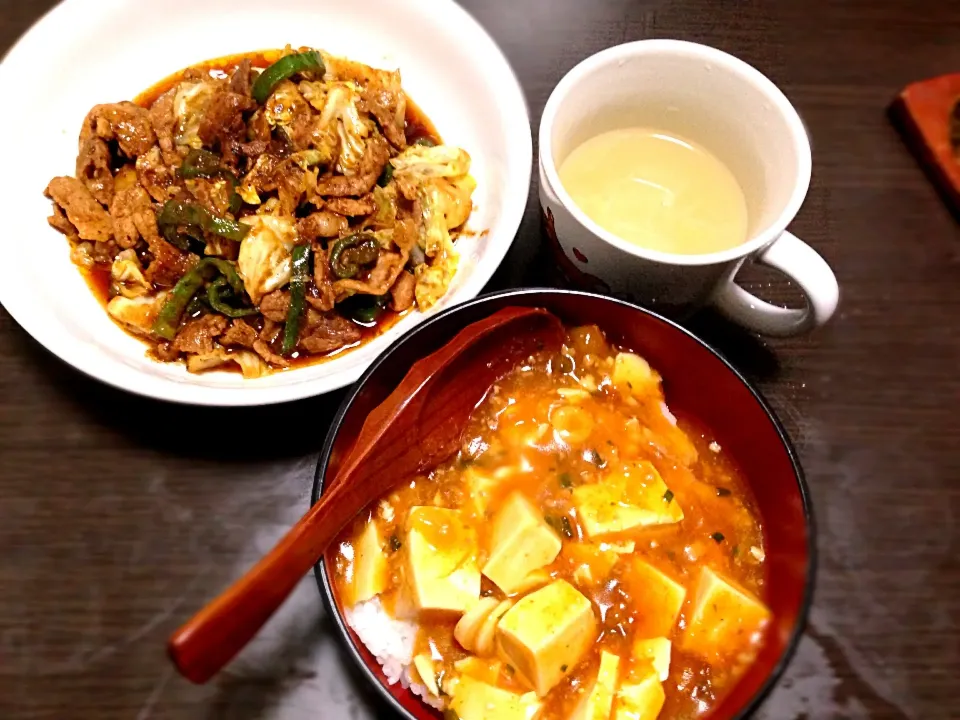 回鍋肉、麻婆豆腐、ネギの中華スープ|コトちゃんママさん