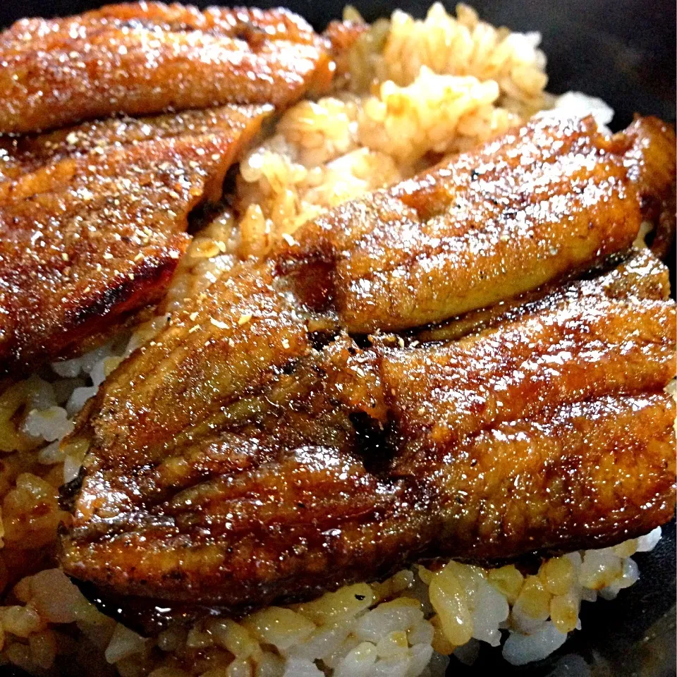 Rice with Grilled Eel in Barbeque Sauce|willklhさん