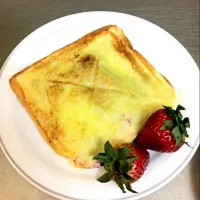 Dessert/Breakfast Toastie Pie