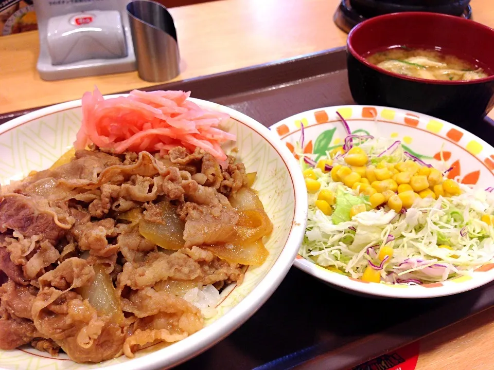 牛丼中盛サラダセット|おかっぴーさん