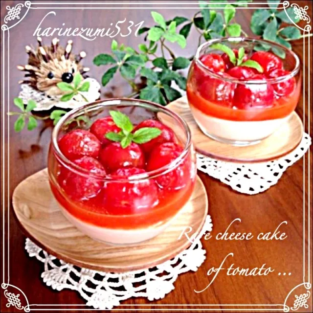 トマトのレアチーズケーキ🍅|はりねずみさん