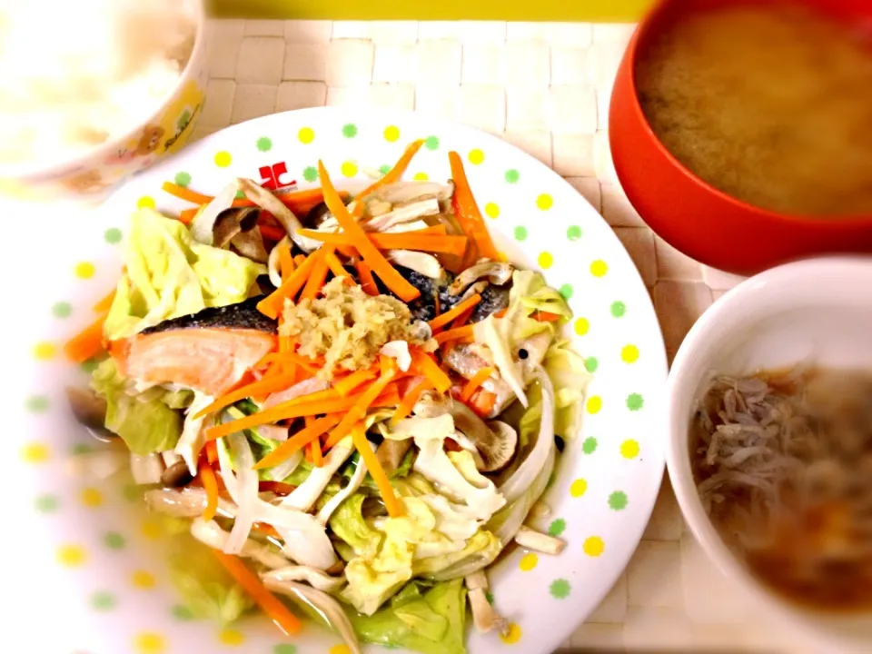 塩鮭と野菜のヘルシー蒸し
おろしちりめんじゃこ
ご飯
ワカメの味噌汁|こなつさん