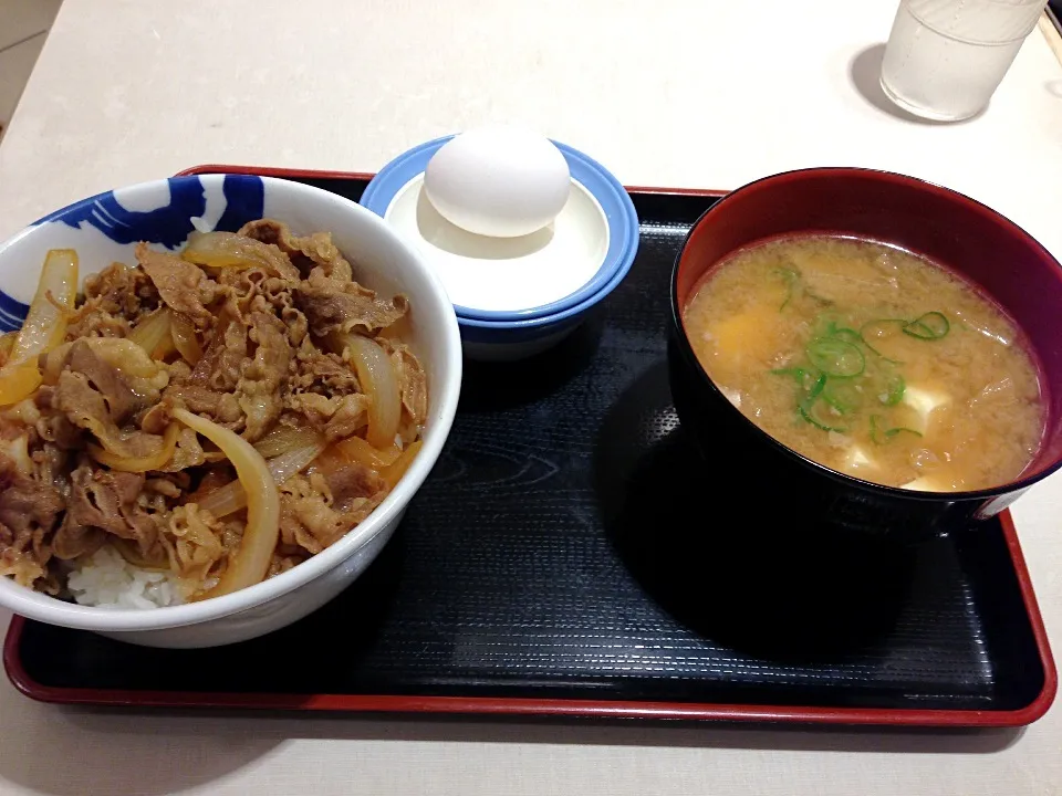 夕飯は牛丼|アクちゃんさん