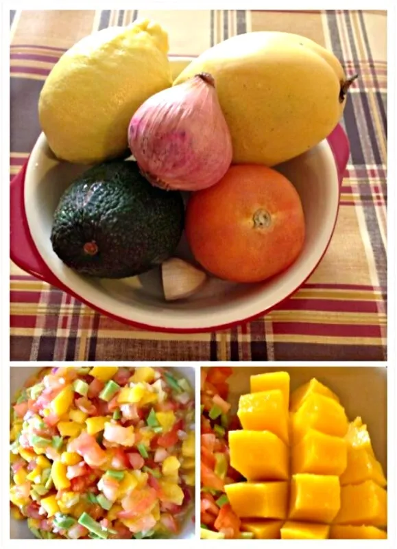 Mango Salsa Dip|chef baobao from Singaporeさん