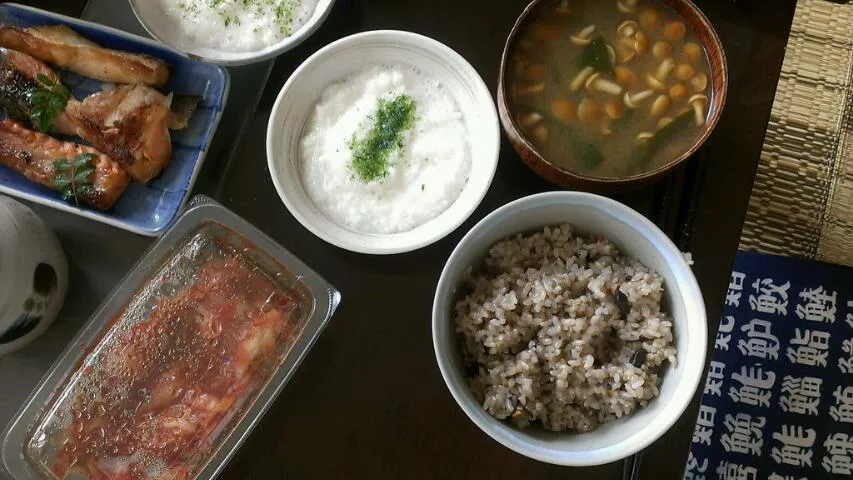 長芋&鮭カマ&ひじき|まぐろさん