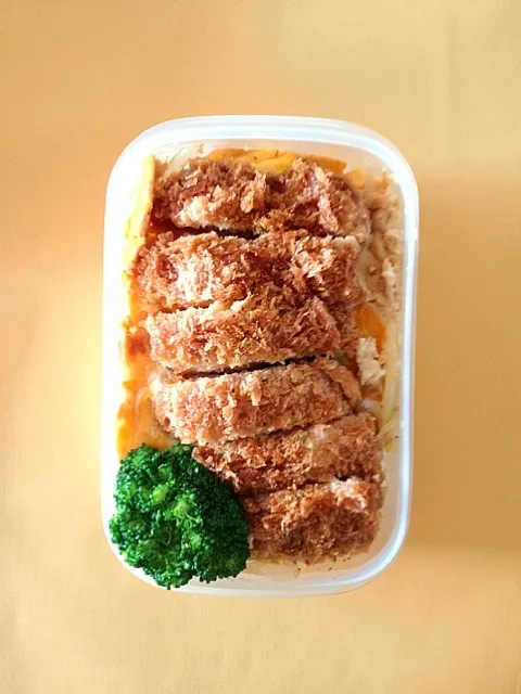 Katsudon BENTO|caori ytさん