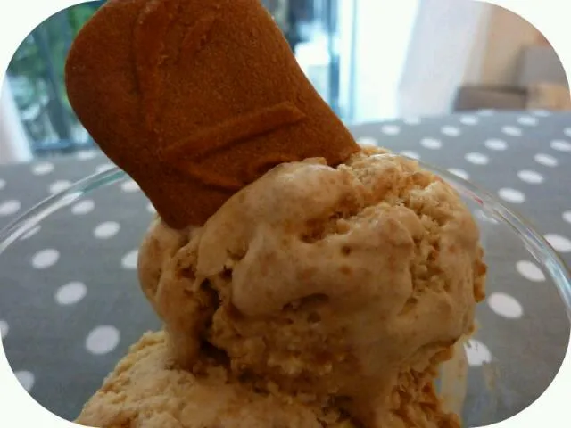 speculoos ice cream|viviさん