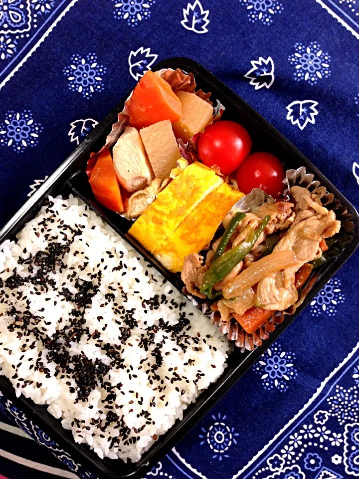 豚肉のオイスターソース炒め弁当|小さなビッケさん