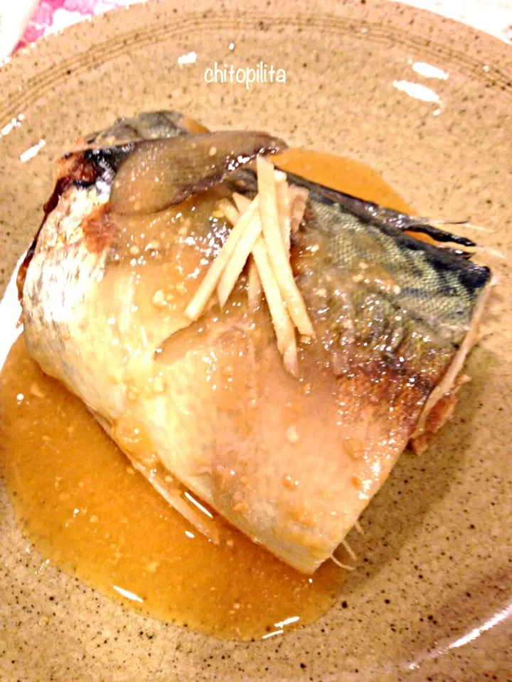 Snapdishの料理写真:Mackerel cooked with miso soy bean paste - 鯖味噌煮|chitopilitaさん