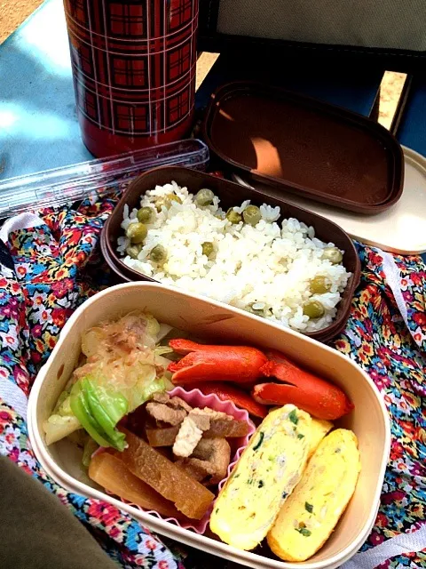 Snapdishの料理写真:今日のお弁当(豆ご飯、タコさん、キャベツと茗荷のお浸し、大根煮)|ひげまろさん