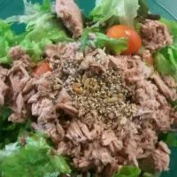 Ensalada verde con atun, chrrry y semillas.|alejandro bellocさん