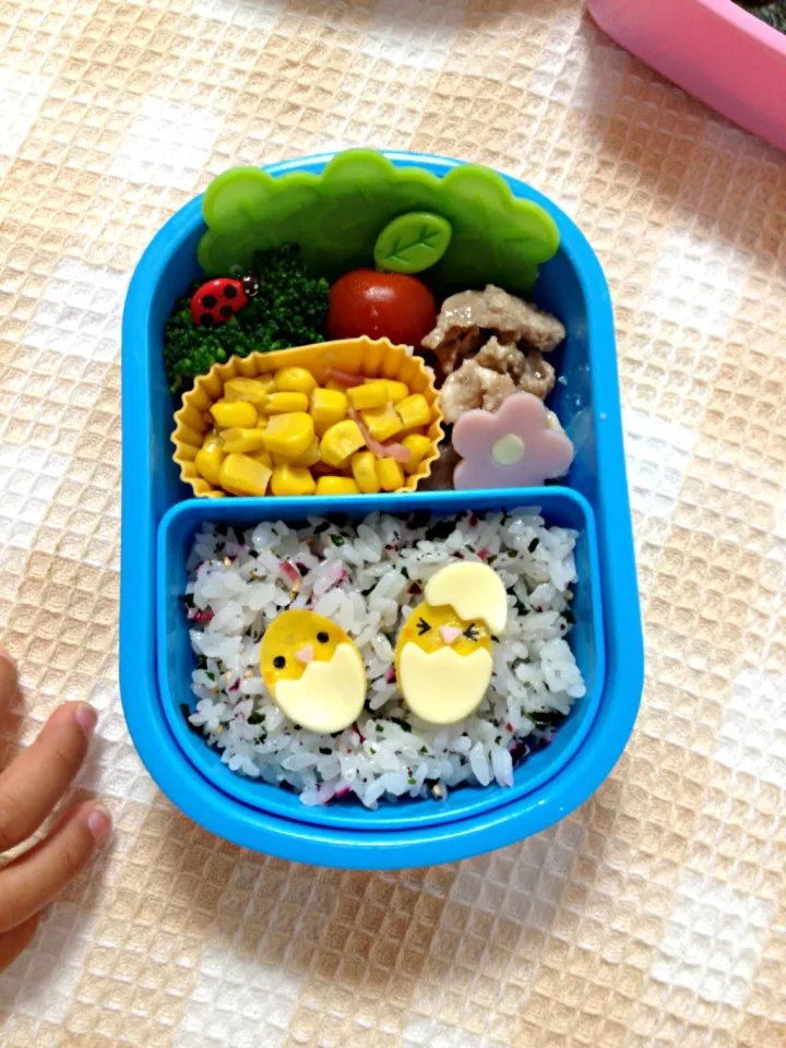 チビッコ弁 ひよこ🐥|はちさん