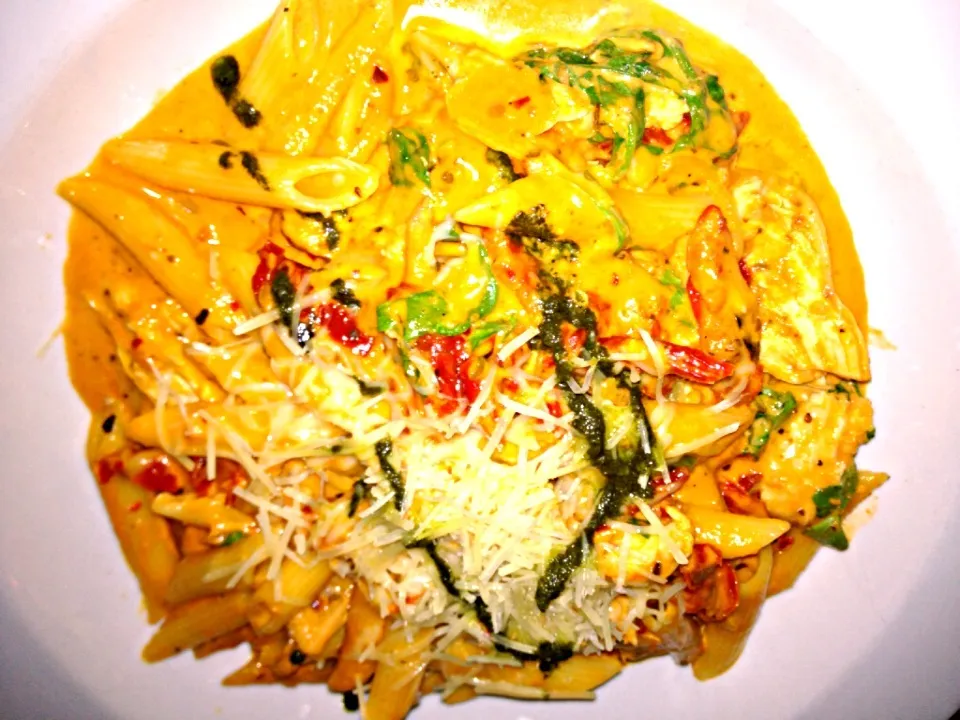 Penne pasta with pulled chicken in pink vodka sauce|Rima Chawlaさん