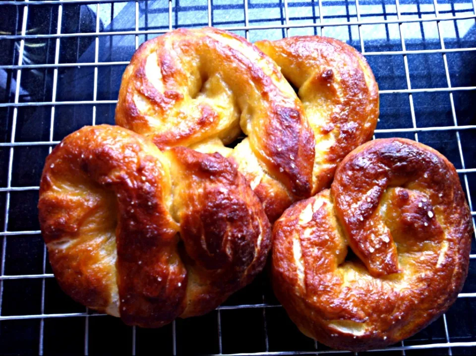 Pretzels|Shannon Cullerさん