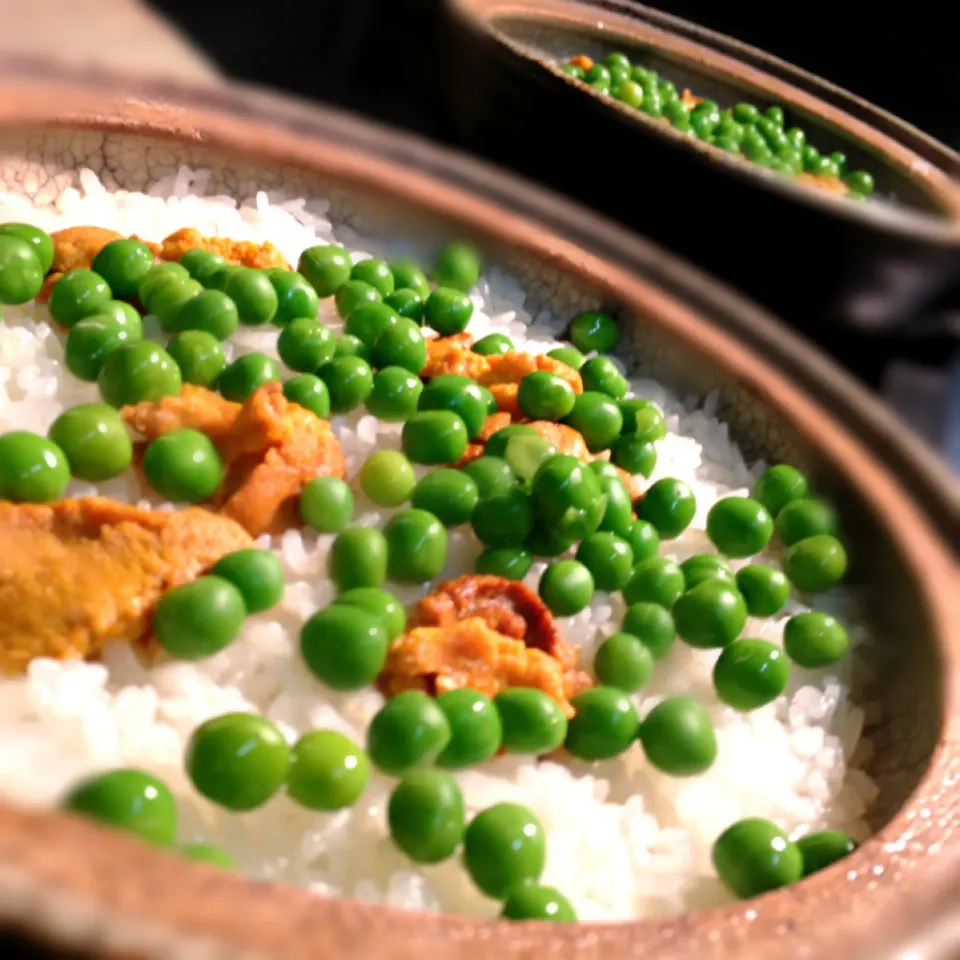 Snapdishの料理写真:海胆豆土鍋炊き込みご飯|炊かれたいオトコ おこん 小栁津さん