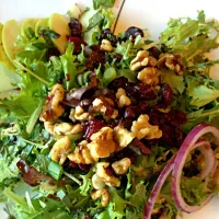 Apple cranberries and walnut salad|Nicole Battinさん