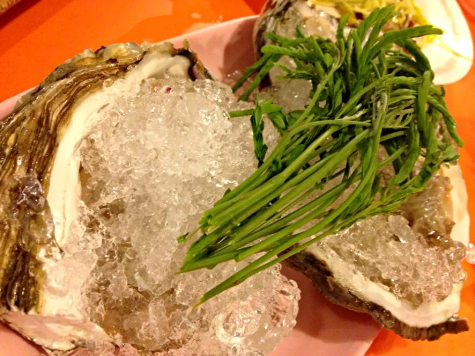 Snapdishの料理写真:oysters|Cloudy Gさん