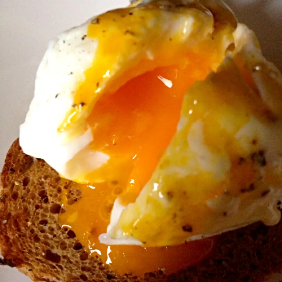 Poached egg over toast|Debbieさん