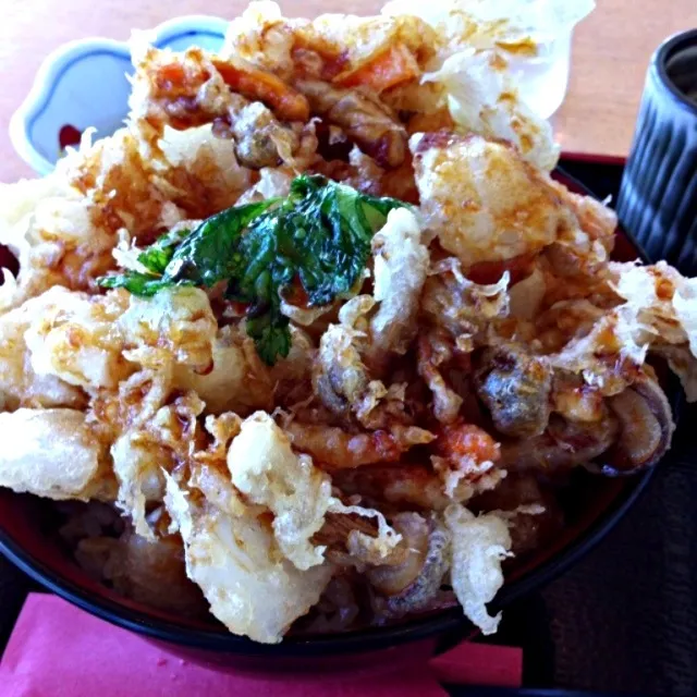 Snapdishの料理写真:姨捨SAの長芋のかき揚げ丼|Tom666さん